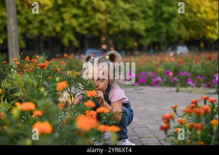 La petite fille se pencha vers la fleur Banque D'Images