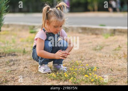 la fille collectionne de petites fleurs jaunes. Banque D'Images