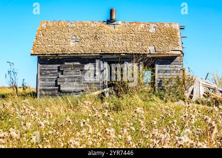 Une petite maison ancienne avec un toit de chaume se trouve dans un champ de hautes herbes. La maison est entourée de beaucoup de mauvaises herbes et de fleurs sauvages, ce qui lui donne un peu Banque D'Images