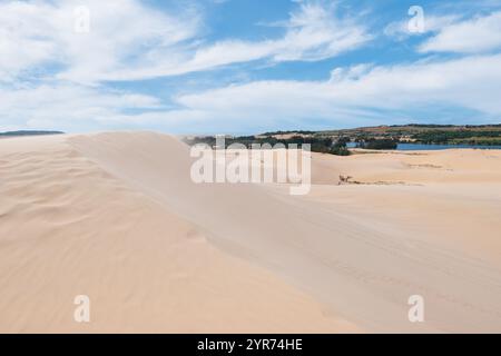 Paysage des dunes de sable blanc situé à Mui ne au Vietnam Banque D'Images