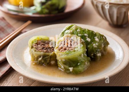 Rouleaux de chou aromatisés au miso Banque D'Images