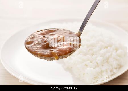 Curry japonais et riz (pommes de terre, carottes, oignons, bœuf) Banque D'Images