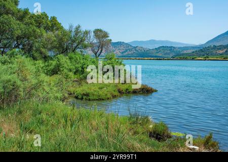 Le paysage verdoyant près du lac Butrint dans le sud de l'Albanie, qui fait partie du parc national de Butrint. Un lagon d'eau salée relié à la mer Ionienne Banque D'Images