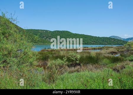 Le paysage verdoyant près du lac Butrint dans le sud de l'Albanie, qui fait partie du parc national de Butrint. Un lagon d'eau salée relié à la mer Ionienne Banque D'Images