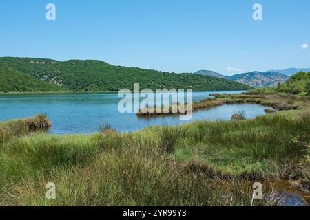 Le paysage verdoyant près du lac Butrint dans le sud de l'Albanie, qui fait partie du parc national de Butrint. Un lagon d'eau salée relié à la mer Ionienne Banque D'Images