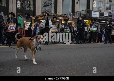 Un chien brun portant un keffiyeh regarde la caméra. Des centaines de manifestants pro-palestiniens se rassemblent à Columbus Circle pour la "Journée internationale de solidarité pour le peuple palestinien" à New York. Banque D'Images