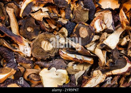 Champignons séchés, bolètes lauriers et champignons porcini renversés sur la table. Gros plan. Banque D'Images