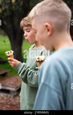 Deux jeunes garçons savourant des cônes de crème glacée par une journée ensoleillée dans un jardin Banque D'Images