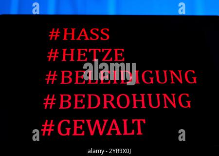 Symbolfoto zum Thema Hass, Hetze und Beleidigungen im Internet *** photo symbolique sur le thème de la haine, des discours de haine et des insultes sur Internet GMS18102 Banque D'Images