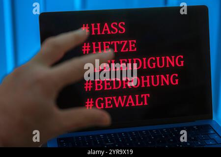 Symbolfoto zum Thema Hass, Hetze und Beleidigungen im Internet *** photo symbolique sur le thème de la haine, des discours de haine et des insultes sur Internet GMS18101 Banque D'Images