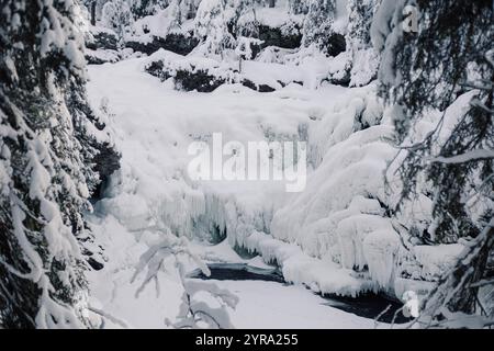 Cascade gelée avec forêt enneigée en arrière-plan Heggenes Norvège Banque D'Images