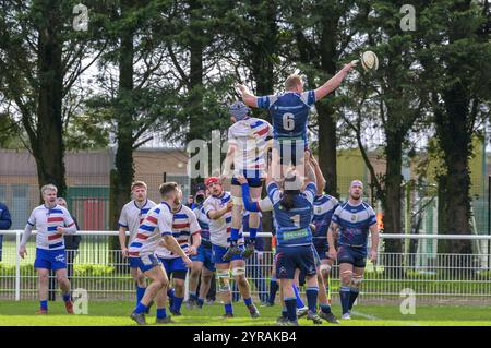 Arras, stade Grimaldi (nord de la France), 2024/03/24 : match de rugby amateur « fédérale 3 » (septième division de rugby en France) entre Arras Banque D'Images