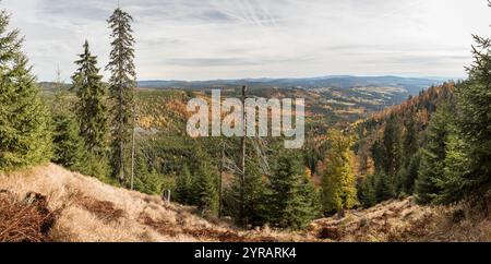 Hochlagen im Bayerischen Wald, haute altitude dans la forêt bavaroise Banque D'Images