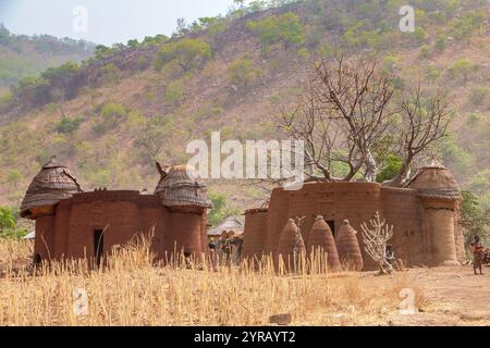 Village argile traditionnel au Togo niché au milieu de l'herbe sèche et des baobabs Banque D'Images