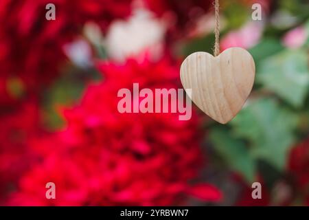 Smooth Focus, le bois sculpté en forme de cœur est accroché sur le sapin de noël rouge pour symboliser l'amour et l'amitié qui ont été donnés les uns aux autres. Co Banque D'Images