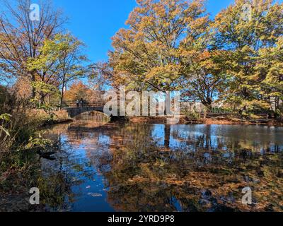 Fenway Park en automne Banque D'Images