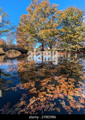 Fenway Park en automne Banque D'Images
