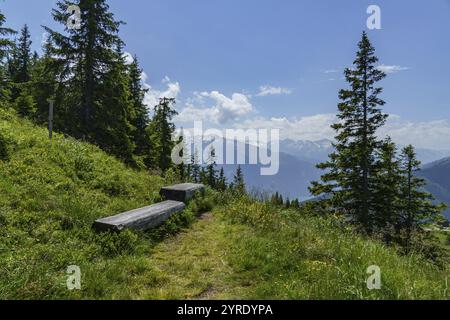 Deux bancs en bois à la lisière de la forêt avec vue sur les montagnes environnantes, mittersill, hohe tauern, autriche Banque D'Images