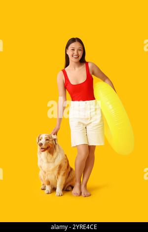 Jeune femme tenant l'anneau gonflable et caressant chien berger australien sur fond jaune Banque D'Images