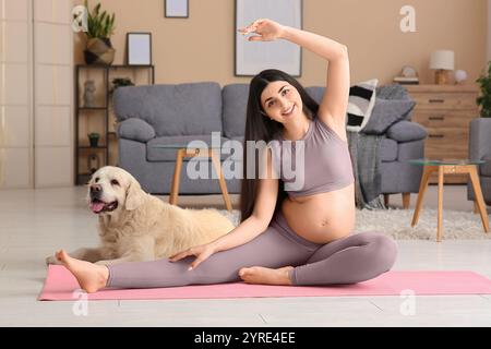 Belle femme enceinte avec chien faisant de l'exercice à la maison Banque D'Images