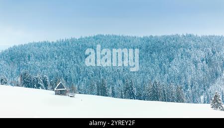 Paysage d'hiver montrant un champ couvert de neige avec une petite cabane en bois et une grande forêt de pins couverte de neige en arrière-plan à zakopane, pologne Banque D'Images