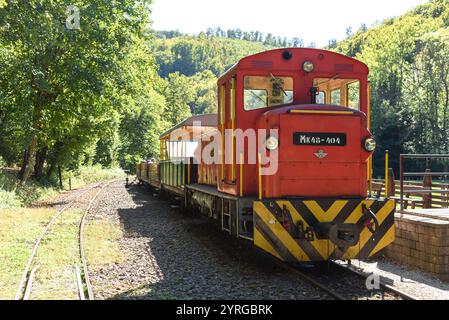 Le train forestier à voie étroite à Szilvasvarad en Hongrie Banque D'Images