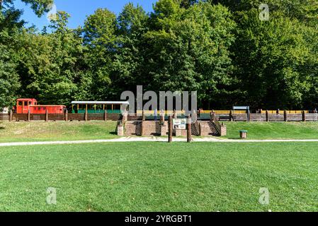 Le train forestier à voie étroite à Szilvasvarad en Hongrie Banque D'Images