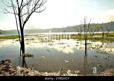 Lac Buyan à Bueleng, Bali, Indonésie. Banque D'Images