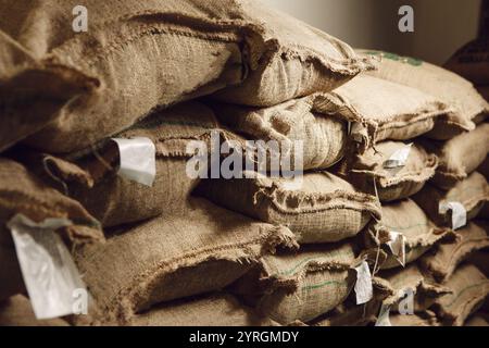 Gros plan de l'exportation de grains de café dans des sacs de jute prêts pour l'expédition à l'installation de transformation Banque D'Images