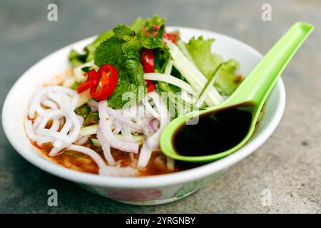 ASAM Laksa est une soupe de nouilles de riz malaisienne savoureuse, aigre, acidulée et épicée à base de poisson. Banque D'Images