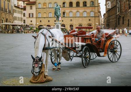 Coachman utilisant son téléphone portable assis sur sa calèche et son cheval blanc mangeant du foin dans un sac sur la piazza della signoria florence, italie Banque D'Images