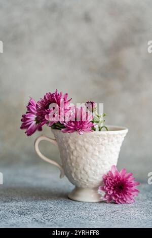 Un groupe d'asters roses vibrants élégamment disposés dans une tasse en céramique blanche texturée, placée sur une surface grise douce, parfaite pour un thème de décor rustique Banque D'Images