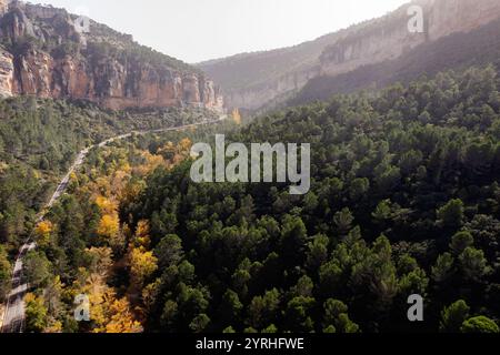 Vue aérienne de la forêt verdoyante à Canamares, Cuenca, Espagne, avec des routes sinueuses et des falaises imposantes le paysage vibrant mélange la beauté naturelle avec Banque D'Images