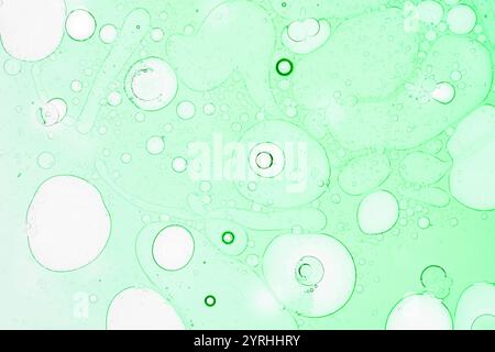 Une image abstraite vibrante mettant en valeur le mélange d'huile verte et d'eau, formant des bulles de différentes tailles. Les motifs complexes créent un sentiment de fluidité et Banque D'Images
