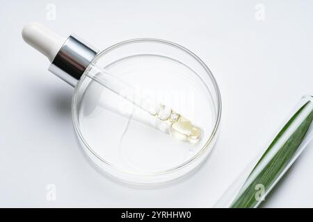 Gros plan de la verrerie de laboratoire présentant une pipette avec de l'huile à l'intérieur d'une boîte de Pétri à côté d'un tube à essai contenant une feuille verte. Représente SC naturel Banque D'Images