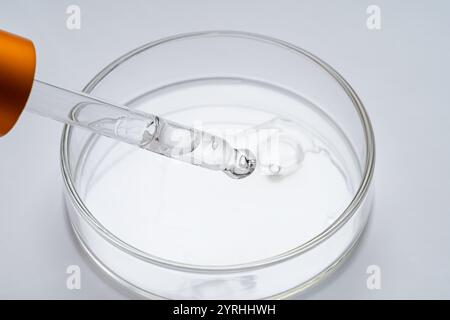 Gros plan d'une pipette au-dessus d'une boîte de Pétri contenant un liquide limpide. Représente la recherche scientifique, l'expérimentation et le travail de laboratoire. Parfait pour bi Banque D'Images