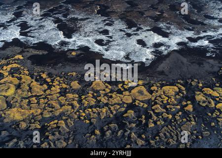 Une vue aérienne à couper le souffle sur la côte sud de l'Islande, mettant en valeur un mélange unique de sable noir volcanique et de mousse verte luxuriante, illustrant la nature Banque D'Images