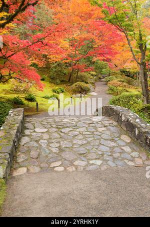 Un jardin d'automne serein dispose d'un chemin de pierre entouré d'arbres vibrants avec des feuilles rouges et oranges le cadre paisible invite à la détente et au reflec Banque D'Images