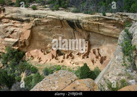 Peubloan maisons grotte dans le Parc National de Mesa Verde, au Colorado. Banque D'Images