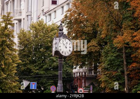 Tour d'horloge vintage au milieu du feuillage d'automne dans un cadre urbain. Banque D'Images