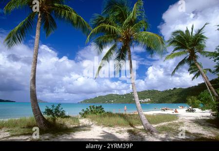 Baie de Magens dans l'île Saint Thomas. Îles Vierges américaines Banque D'Images