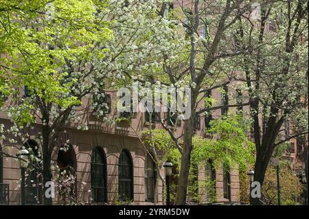 West 22nd Street. Quartier historique de Chelsea. Floraison printanière. Chelsea. Manhattan. New York. ÉTATS-UNIS. Banque D'Images