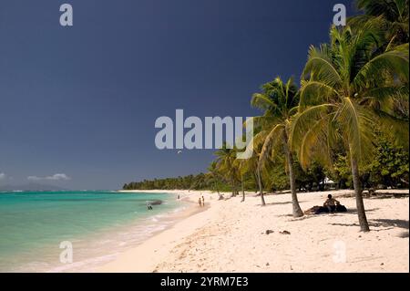 Antilles françaises (FWI), Guadeloupe, île Marie-Galante, Capesterre : petite Anse Beach Banque D'Images