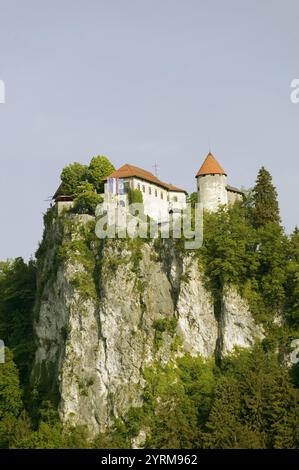 Bled Castle. Matin. Purgé. Gorenjska. Slovénie. Banque D'Images