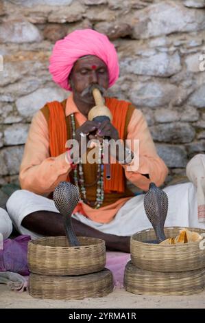 Charmeur de serpent indien avec Cobras. Foire aux chameaux de Pushkar. Pushkar. Rajasthan. Inde. Banque D'Images