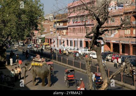 Elephant Taxi . Chandpol Bazaar. Old Jaipur. Jaipur. Rajasthan. Inde. Banque D'Images