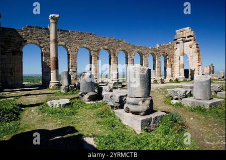 Maroc-Volubilis : ville romaine datant pour la plupart du 2ème et 3ème c. après JC / abandonné par les Romains en 280 après JC - Basilique Banque D'Images