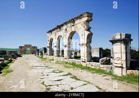 Maroc-Volubilis : ville romaine datant pour la plupart du 2ème et 3ème c. AD / abandonné par les Romains en 280 AD -détail du Palais Gordien Banque D'Images