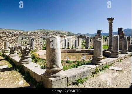 Maroc-Volubilis : ville romaine datant pour la plupart du 2ème et 3ème c. AD / abandonné par les Romains en 280 AD -détail de la Maison des colonnes Banque D'Images