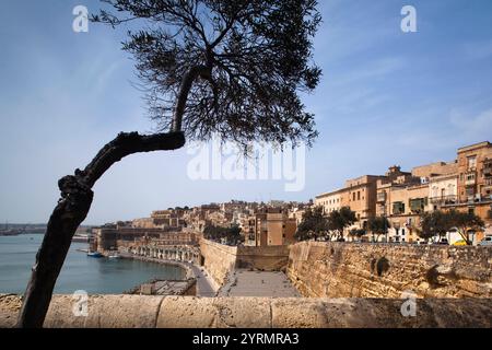 Malte, La Valette, vue sur la ville de jardins Barrakka inférieur Banque D'Images